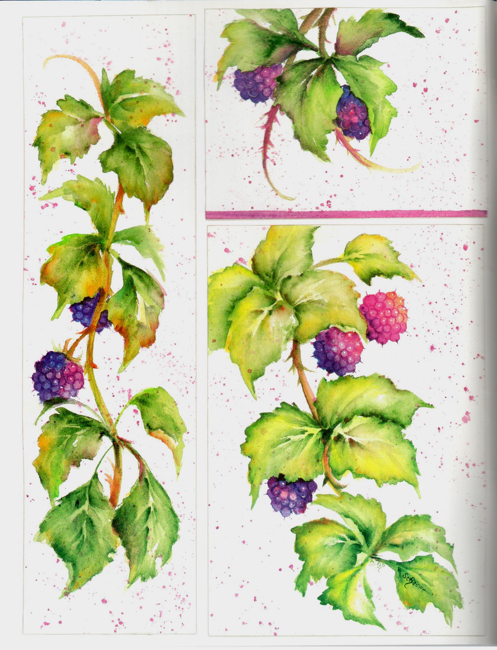 SHELFWORN: Enjoy Watercolor and Acrylic - Sue Scheewe Brown - OOP