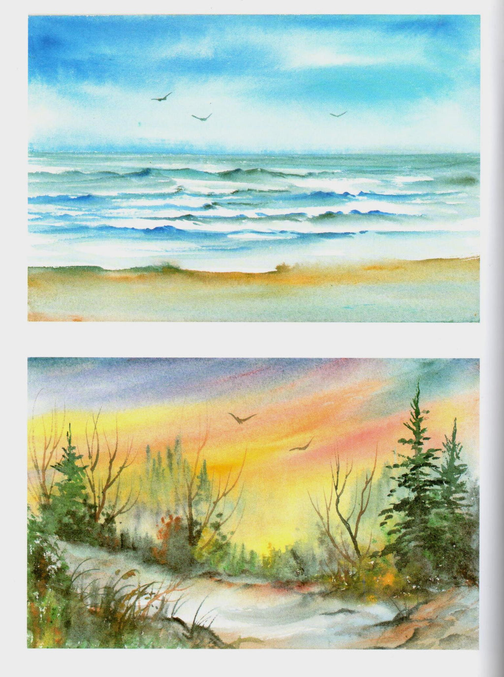 SHELFWORN: Enjoy Watercolor and Acrylic - Sue Scheewe Brown - OOP