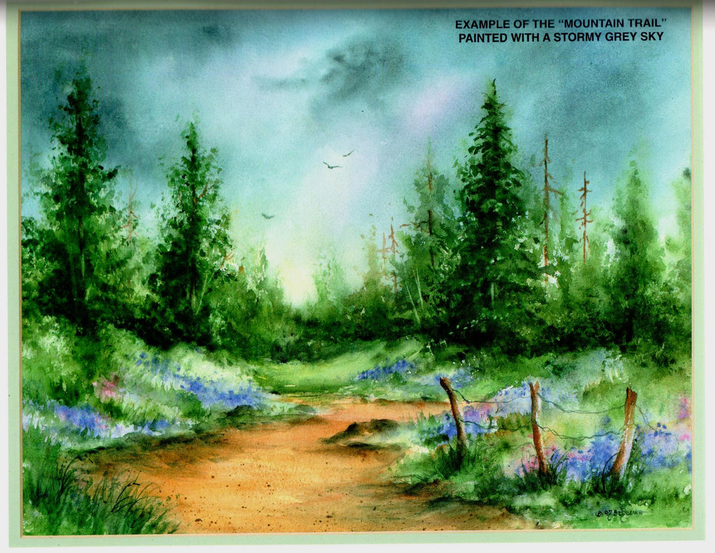 SHELFWORN: Enjoy Watercolor and Acrylic - Sue Scheewe Brown - OOP