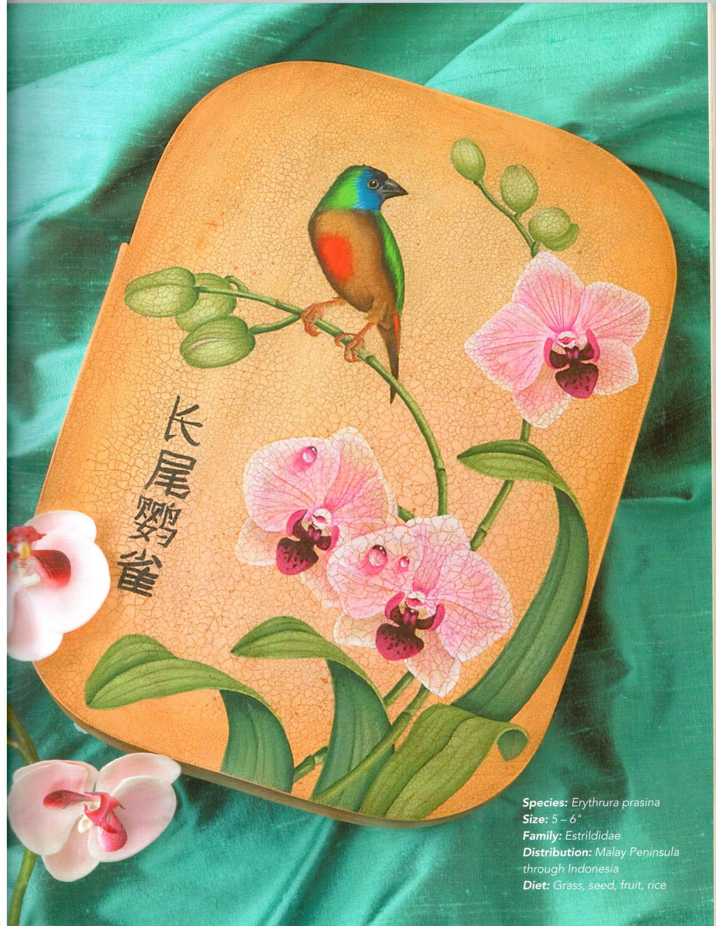 Exotic Birds - Barbara Baatz Hillman - OOP