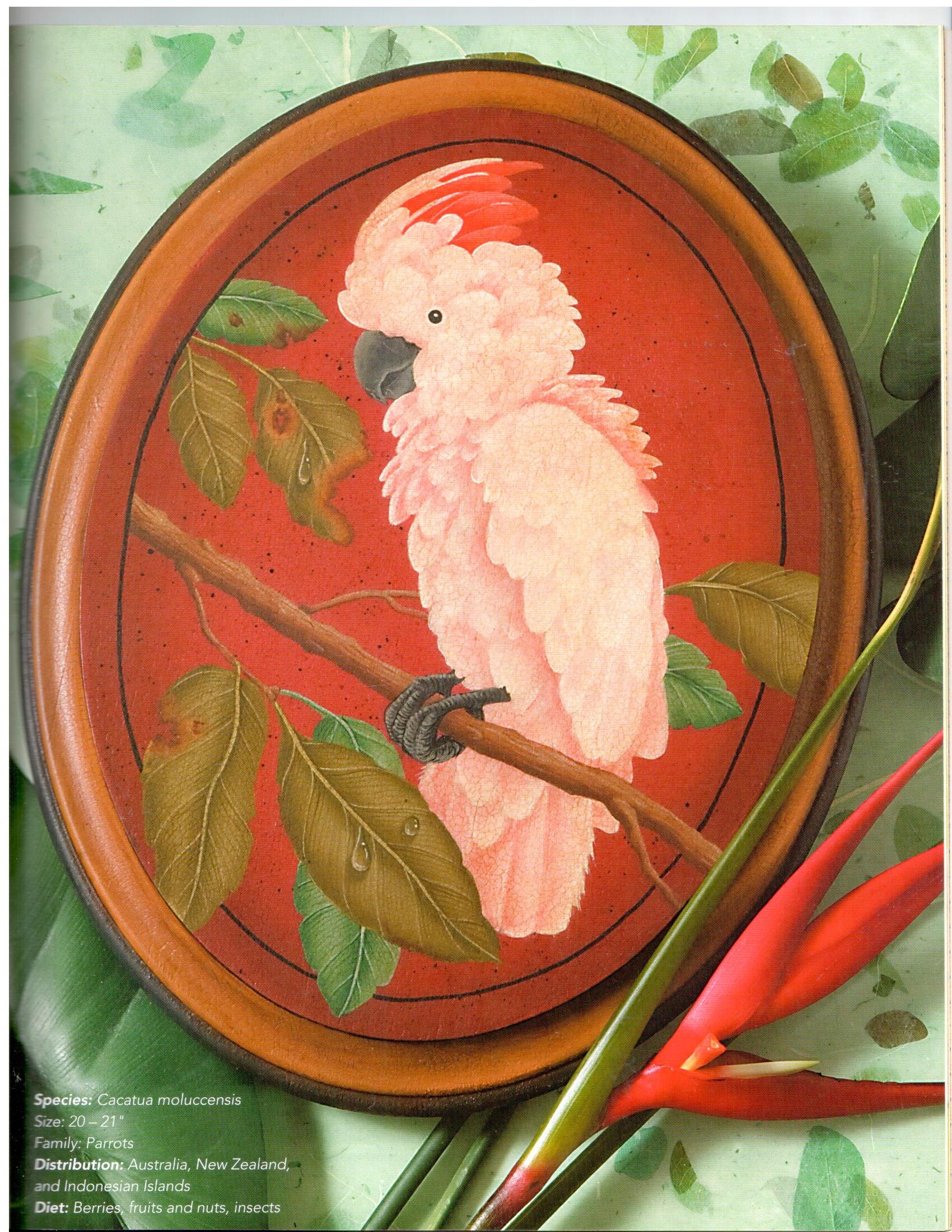 Exotic Birds - Barbara Baatz Hillman - OOP
