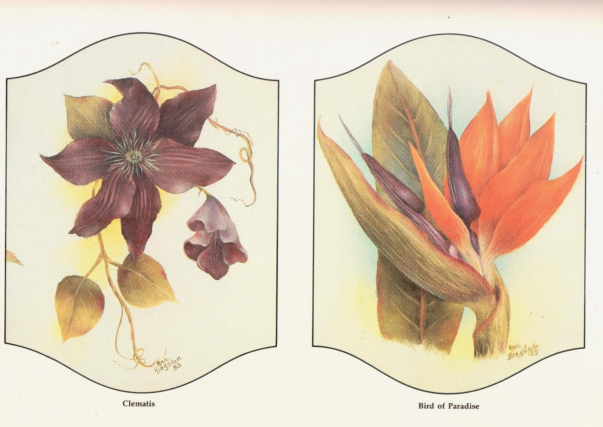 Flowers Thoughts and Theory - Ann Kingslan