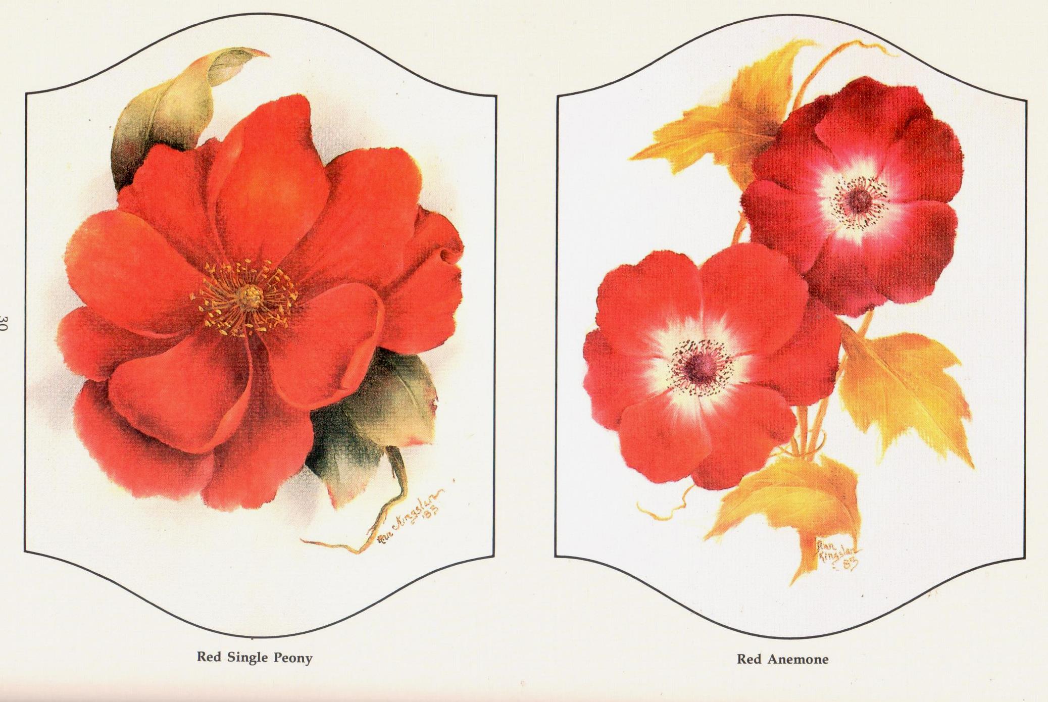 Flowers Thoughts and Theory - Ann Kingslan