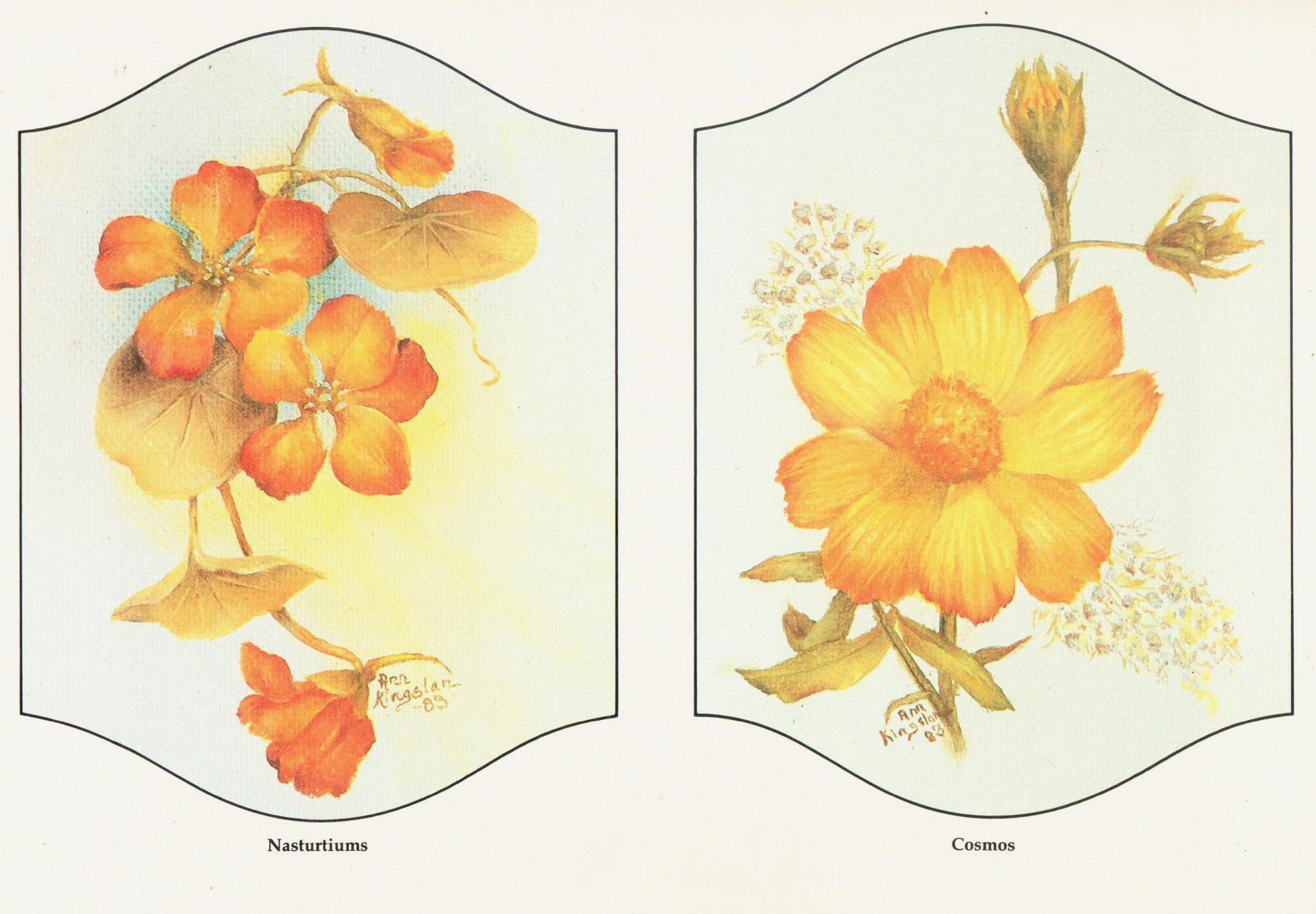 Flowers Thoughts and Theory - Ann Kingslan