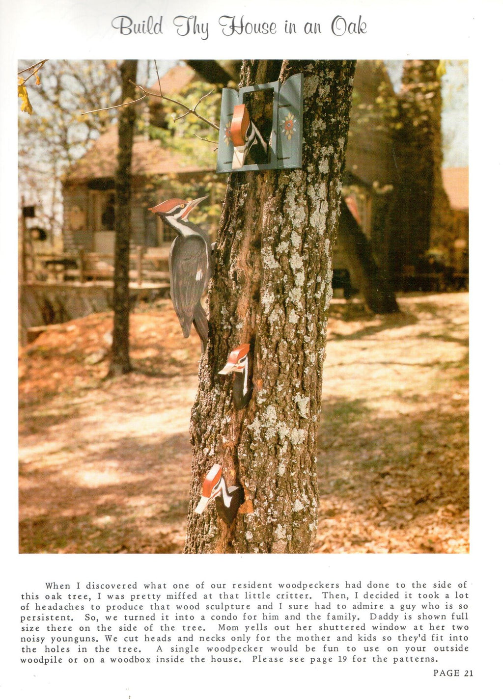 CLEARANCE: House Toys - Book 3 "Earthy American" Series - Hal and Jean Wortham