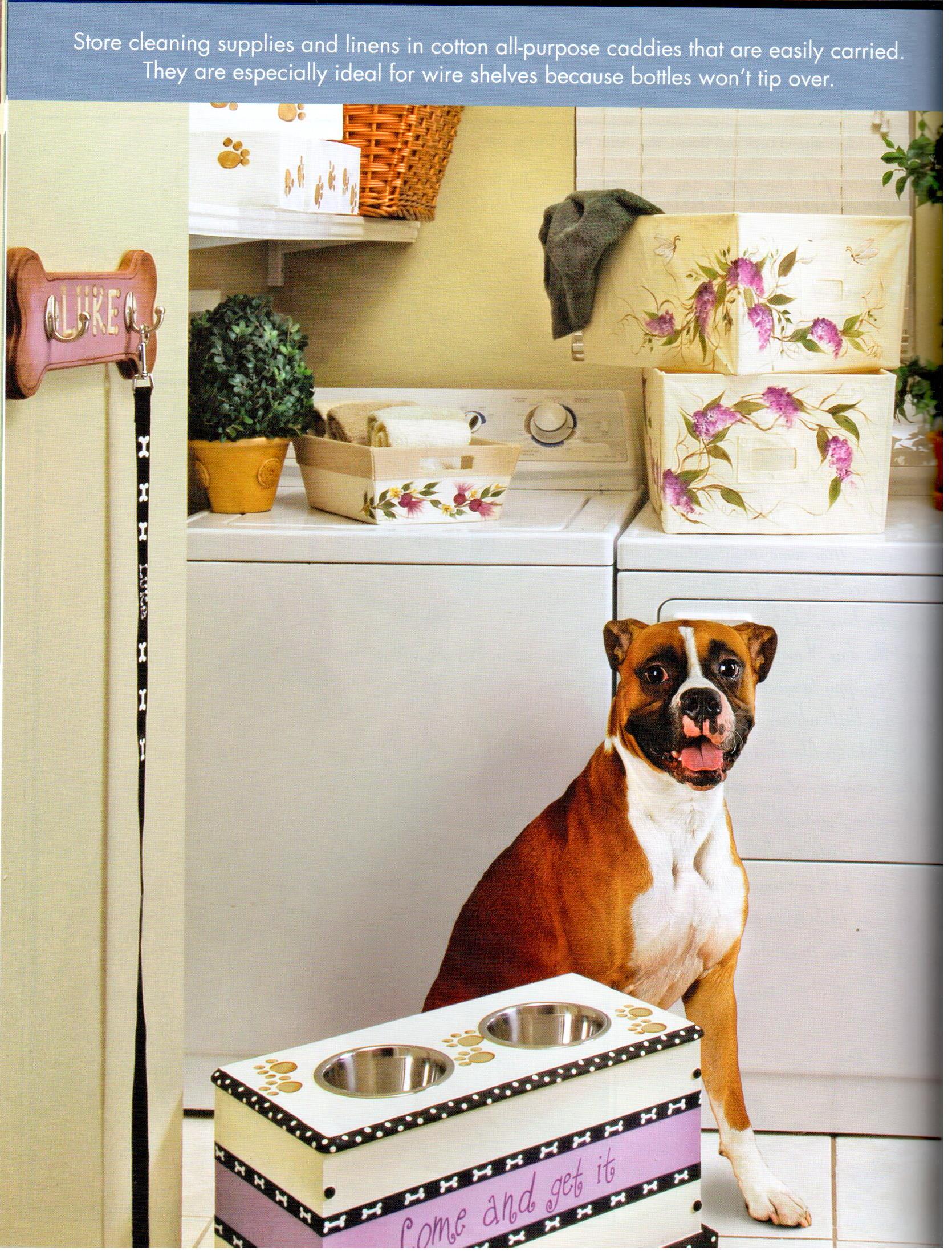 Lifestyle Storage Solutions - Donna Dewberry - OOP