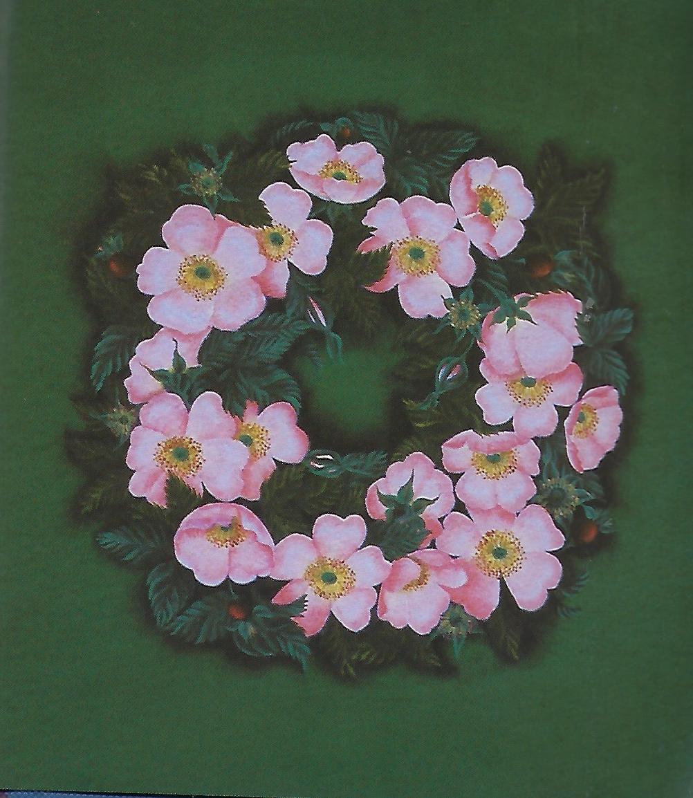 Little Book of Folk Art Roses - Kate Coombe