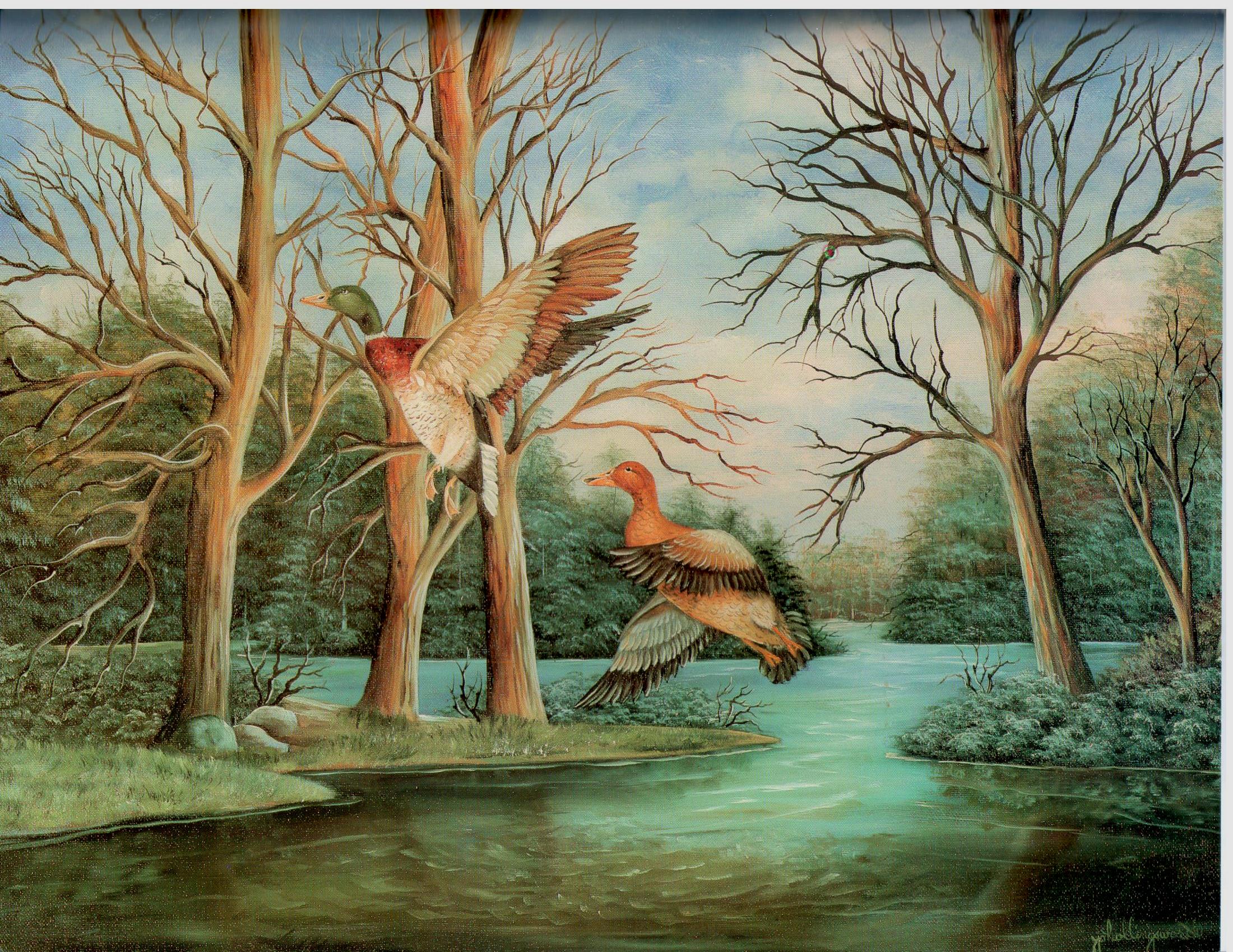 Miracles of Nature Limited Edition - Jo Hollingsworth - OOP