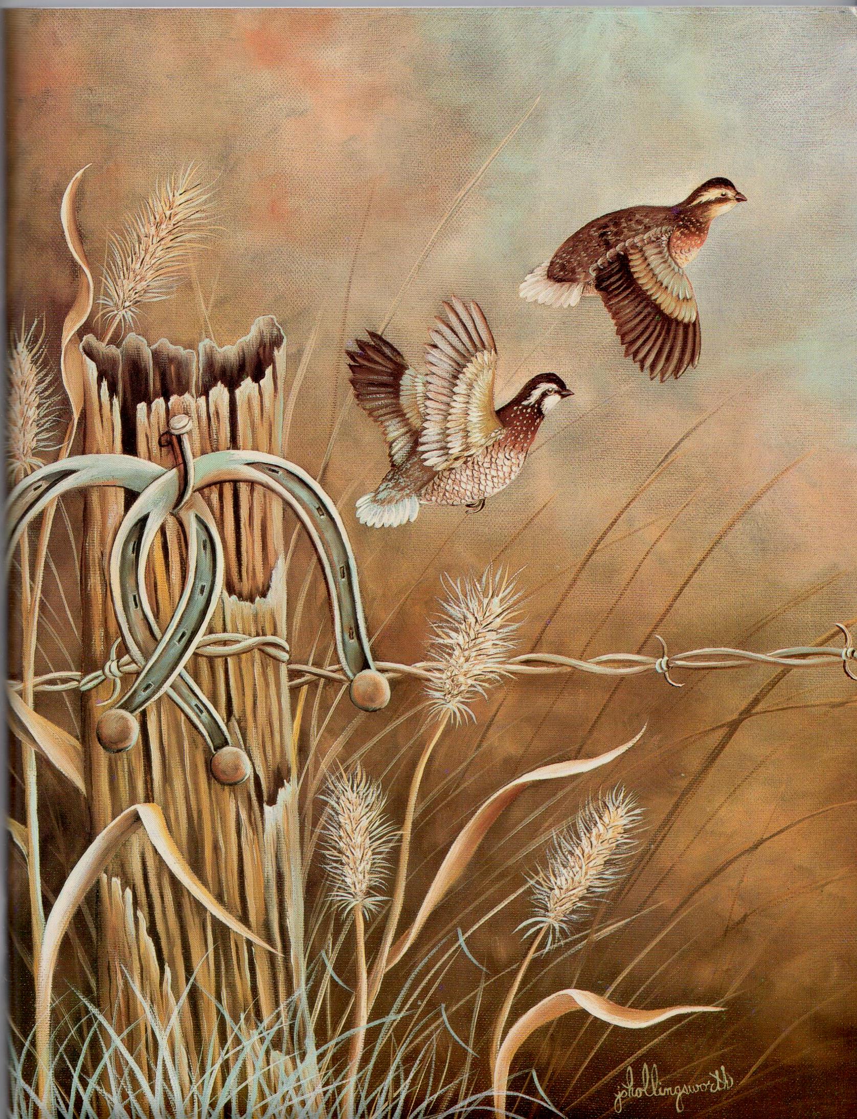 Miracles of Nature Limited Edition - Jo Hollingsworth - OOP