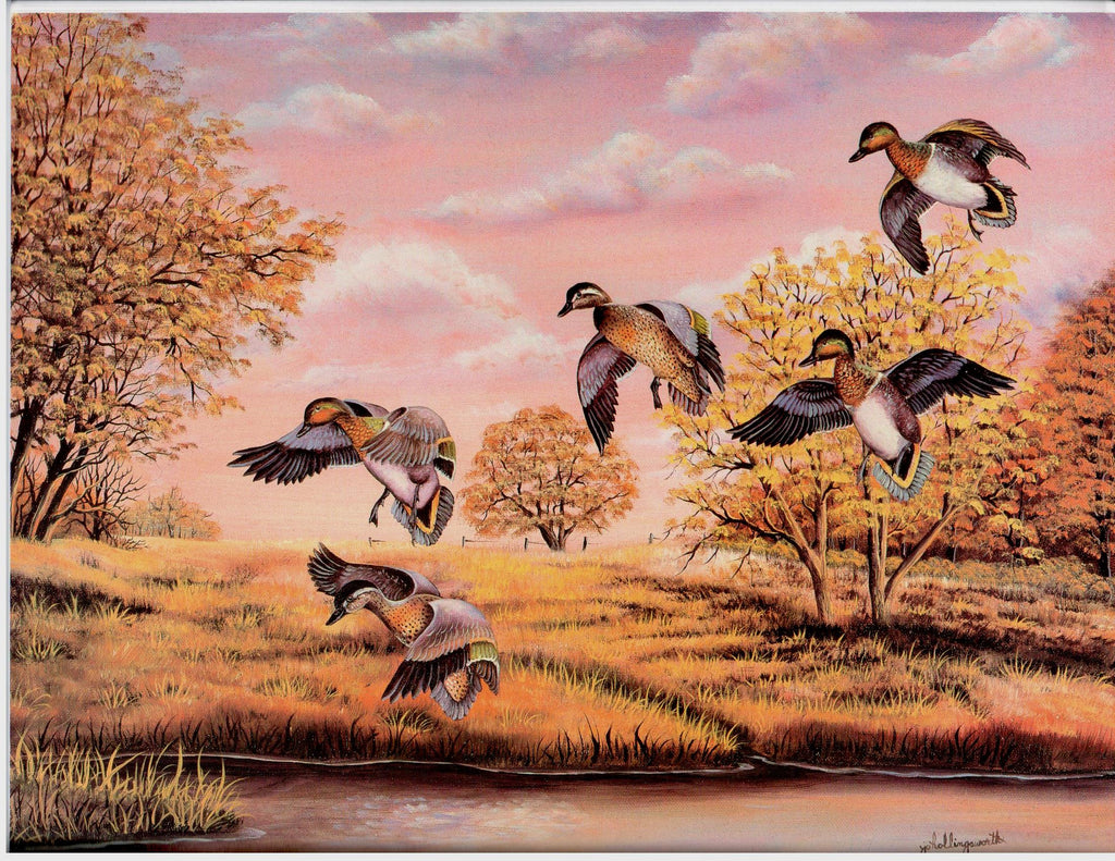 Miracles of Nature Limited Edition - Jo Hollingsworth - OOP