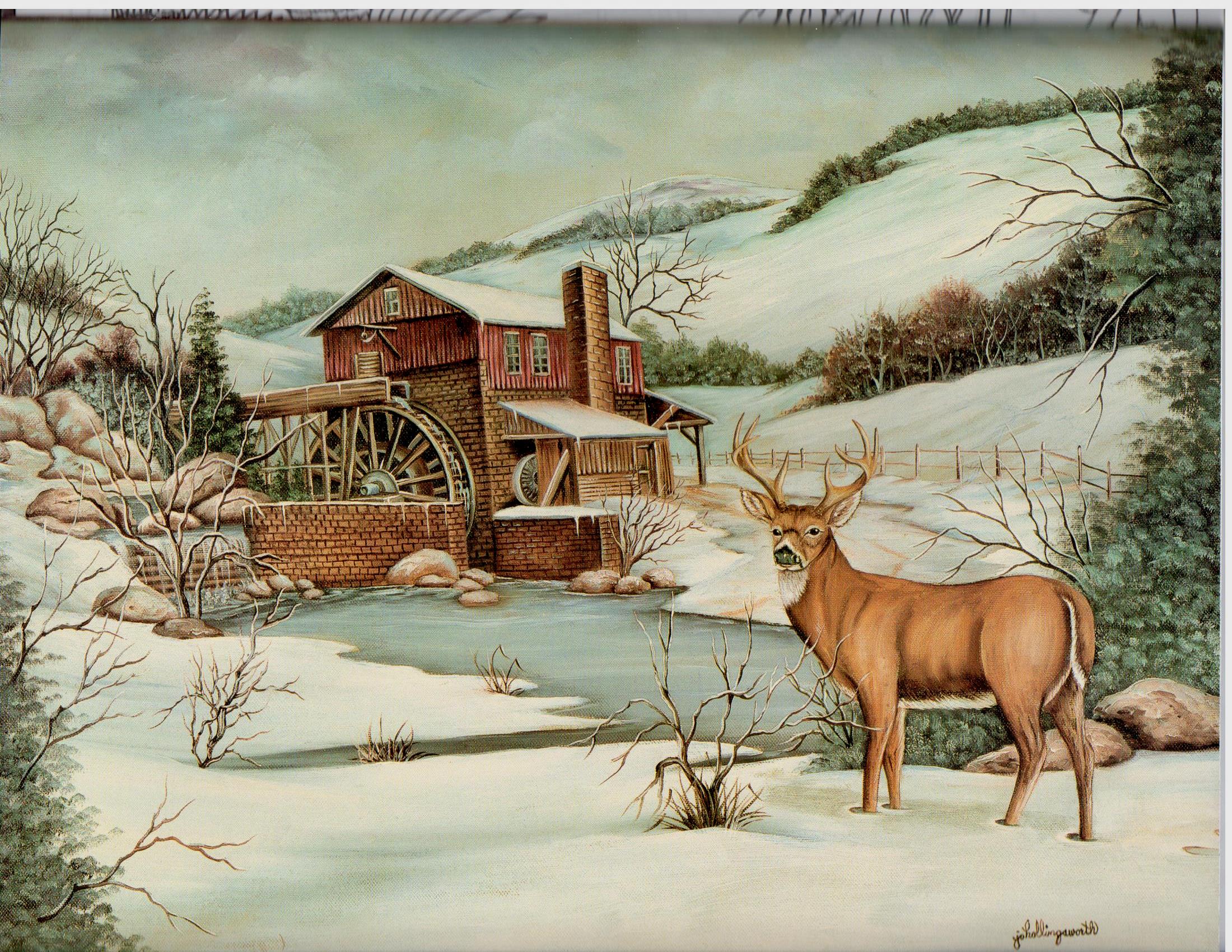 Miracles of Nature Limited Edition - Jo Hollingsworth - OOP