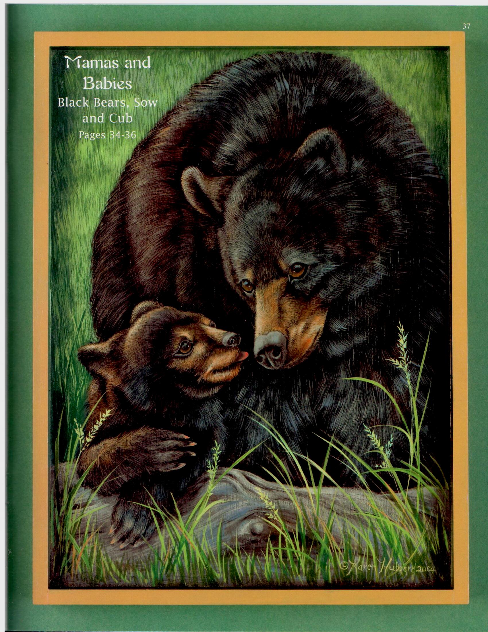 CLEARANCE: Baby Animals - Nature's Wonders Vol. 3 - Karen Hubbard
