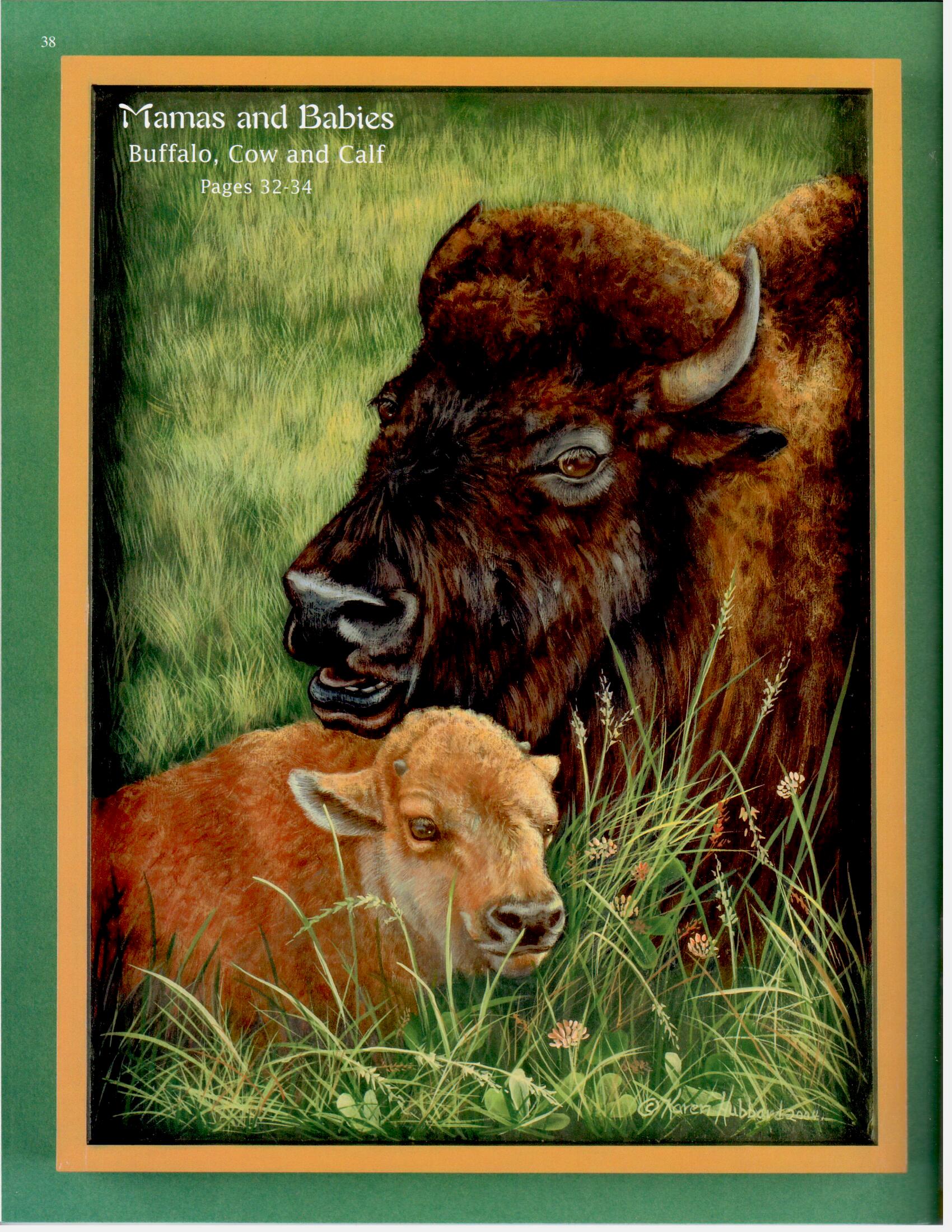 CLEARANCE: Baby Animals - Nature's Wonders Vol. 3 - Karen Hubbard