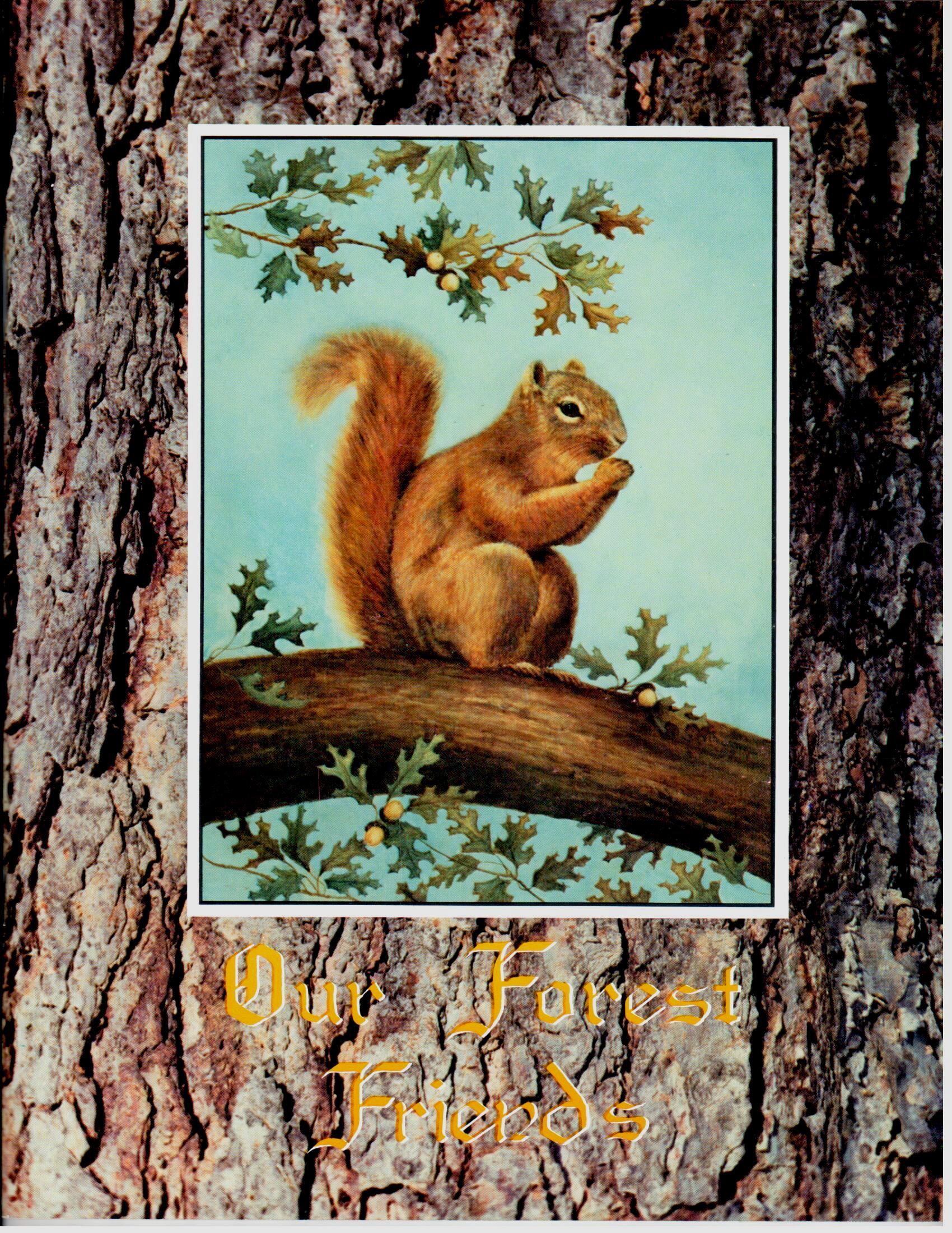 Our Forest Friends - Vi Thurmond