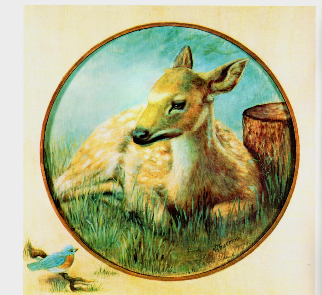 Our Forest Friends - Vi Thurmond