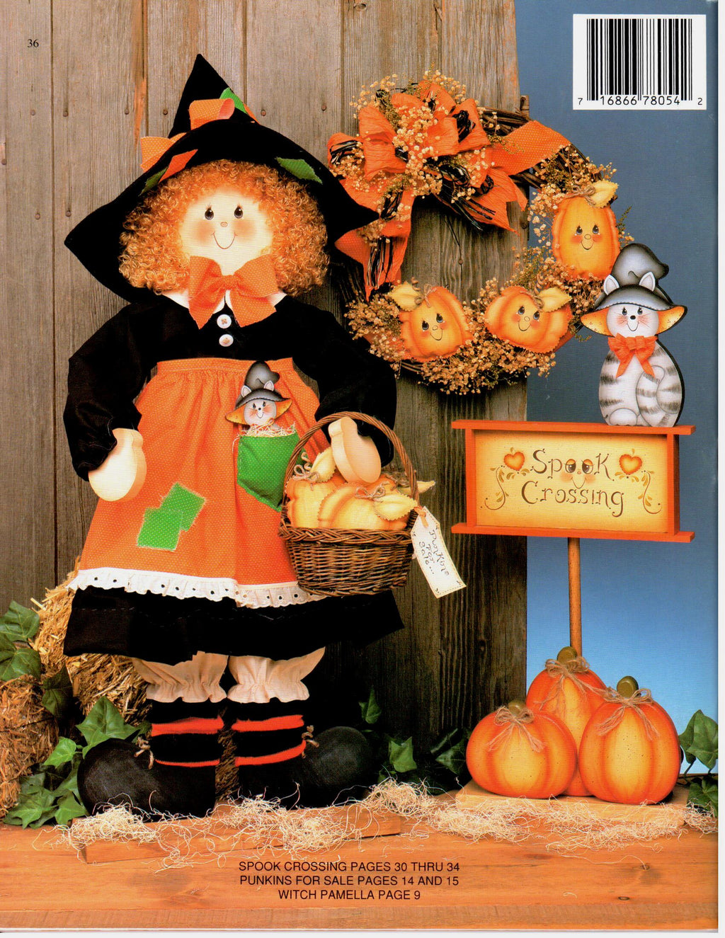 CLEARANCE: Country Dumplins - Pat McClure - OOP