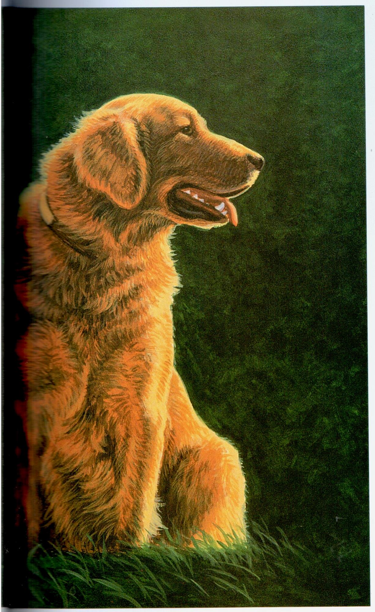 Painting Animal Friends - Jeanne Filler Scott