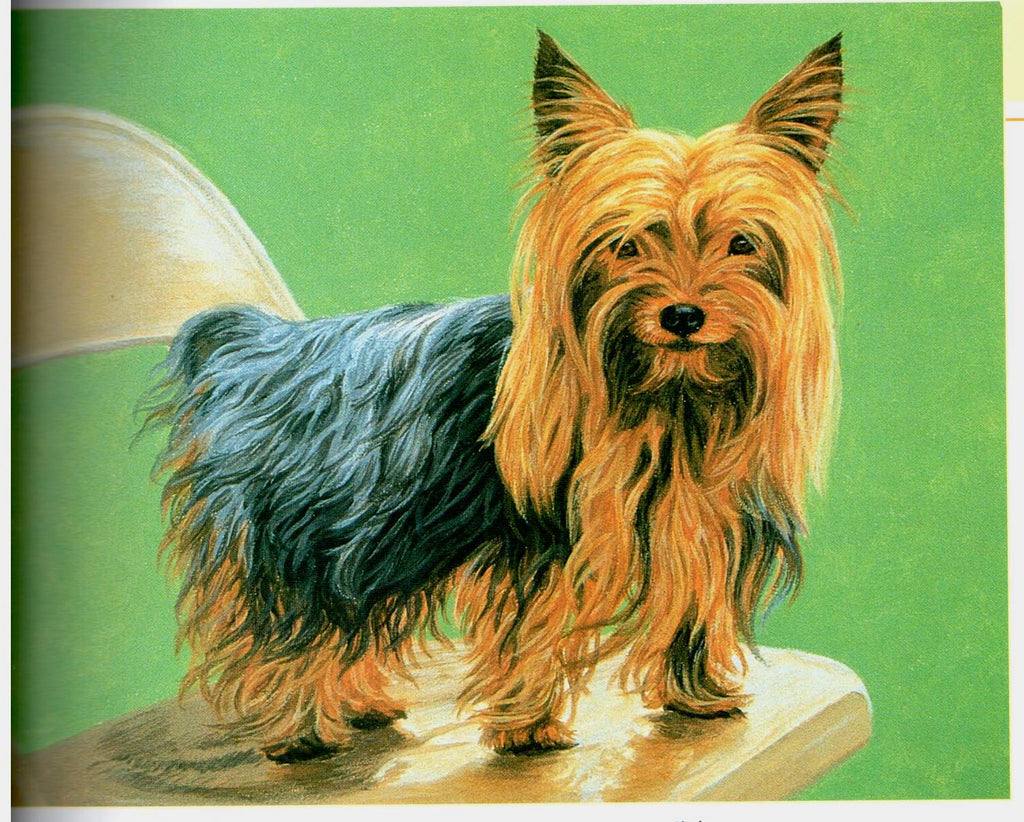 Painting Animal Friends - Jeanne Filler Scott