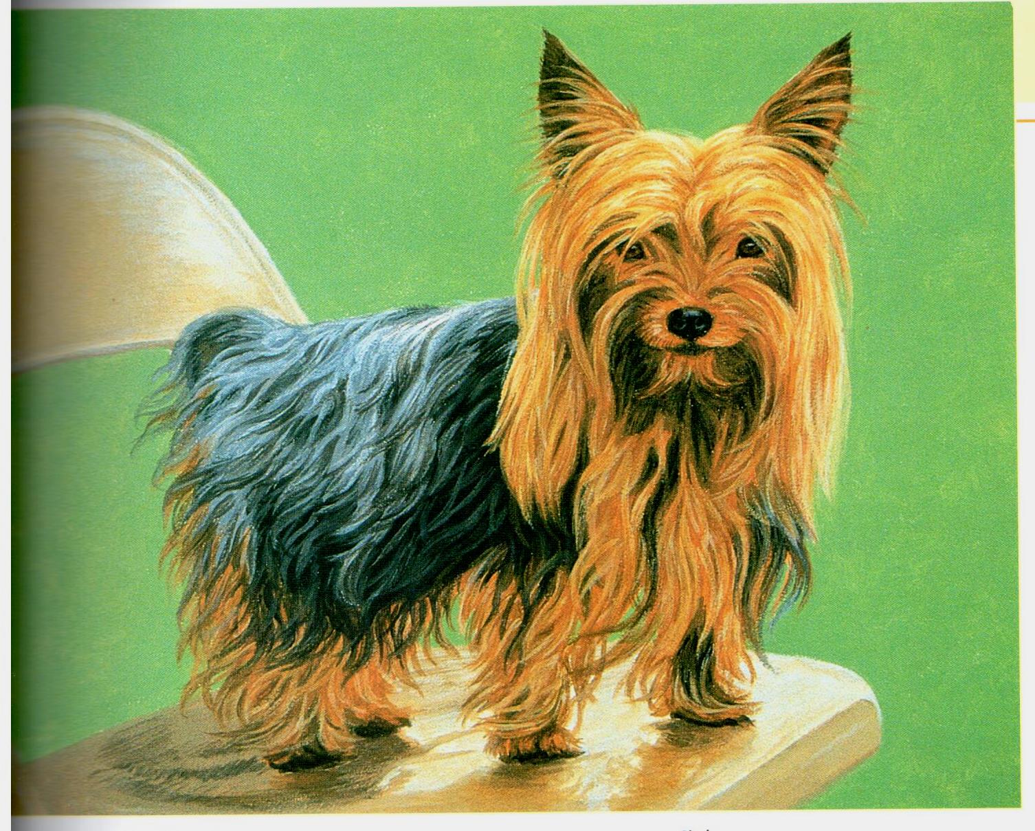 Painting Animal Friends - Jeanne Filler Scott