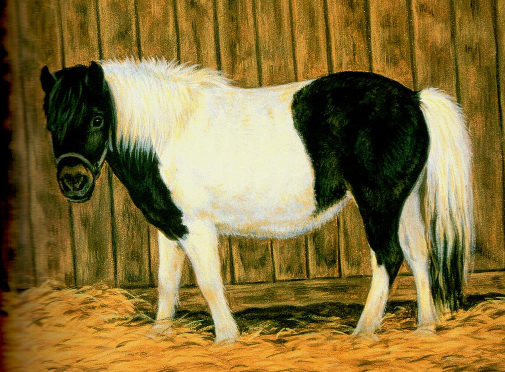 Painting Animal Friends - Jeanne Filler Scott