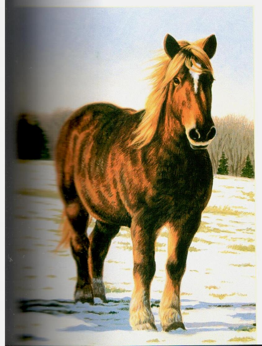 Painting Animal Friends - Jeanne Filler Scott