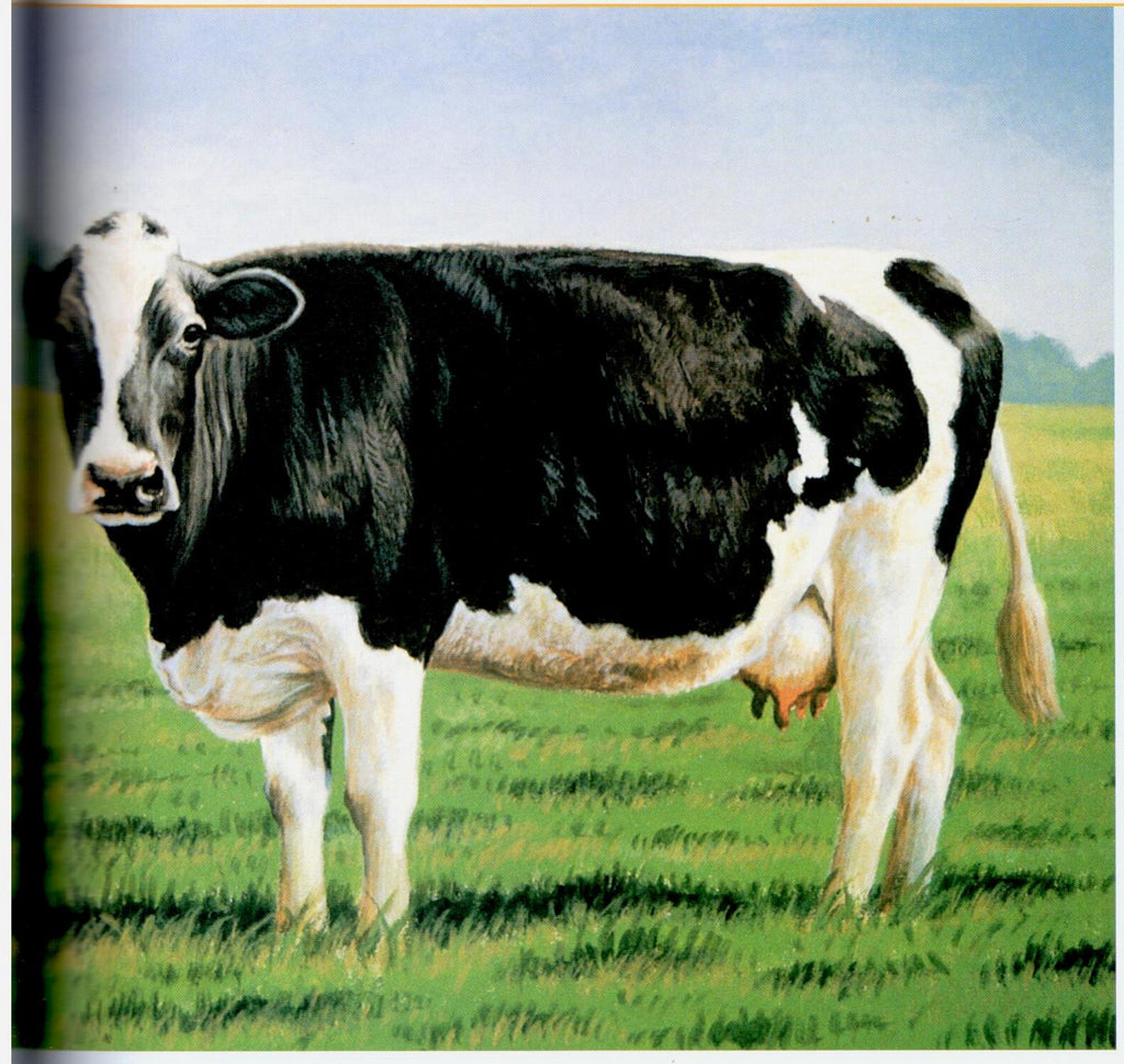 Painting Animal Friends - Jeanne Filler Scott