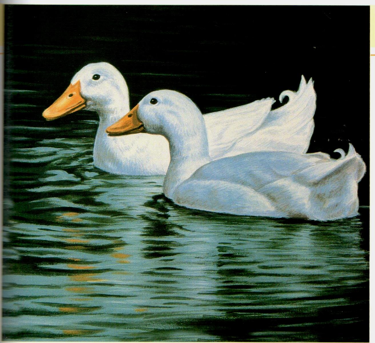 Painting Animal Friends - Jeanne Filler Scott