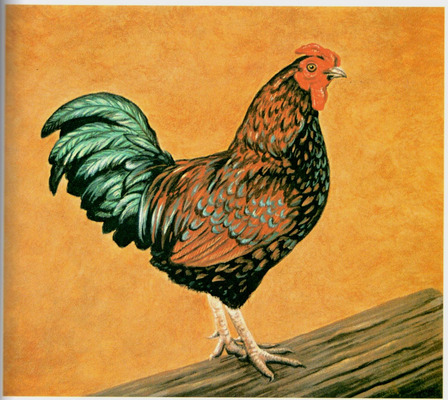 Painting Animal Friends - Jeanne Filler Scott