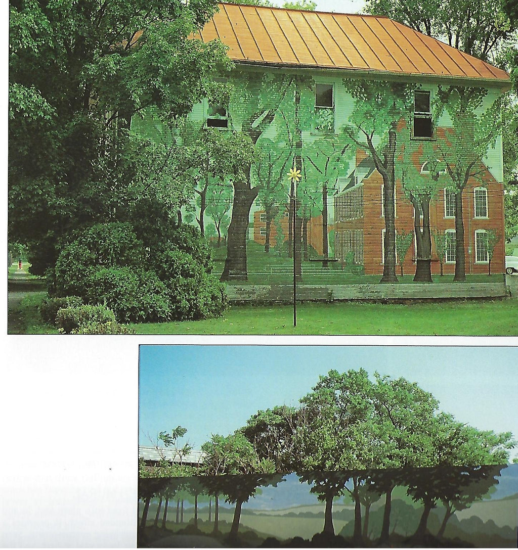 Painting Murals - Patricia Seligman