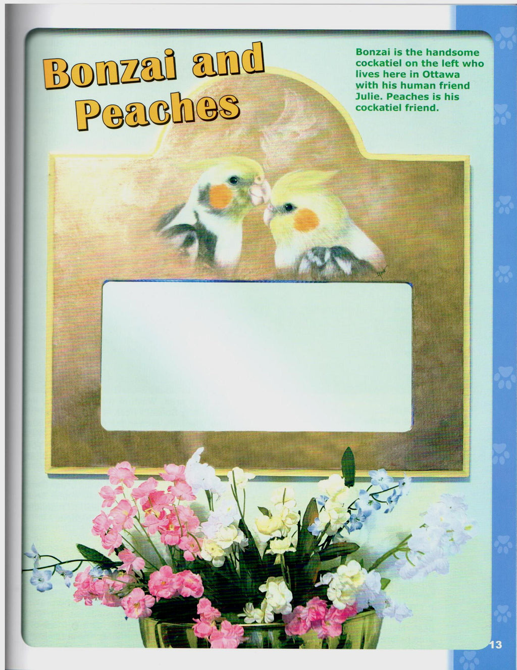 Pause for Painting Vol. 4 - Lydia Steeves - OOP