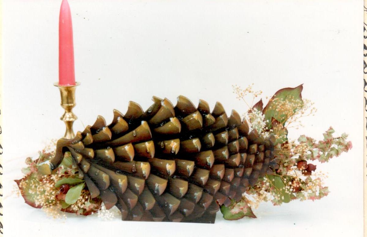 Pine Cone in Candlelight - Linda Wise