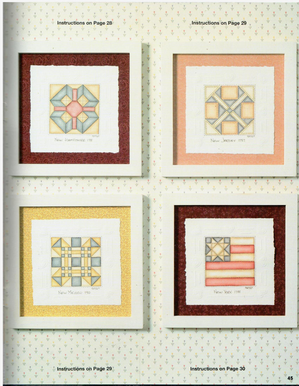 CLEARANCE: Embossing & Painting Quilts of the States - Diane Capuccia