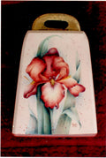 Ruby Iris - Judy Duarte