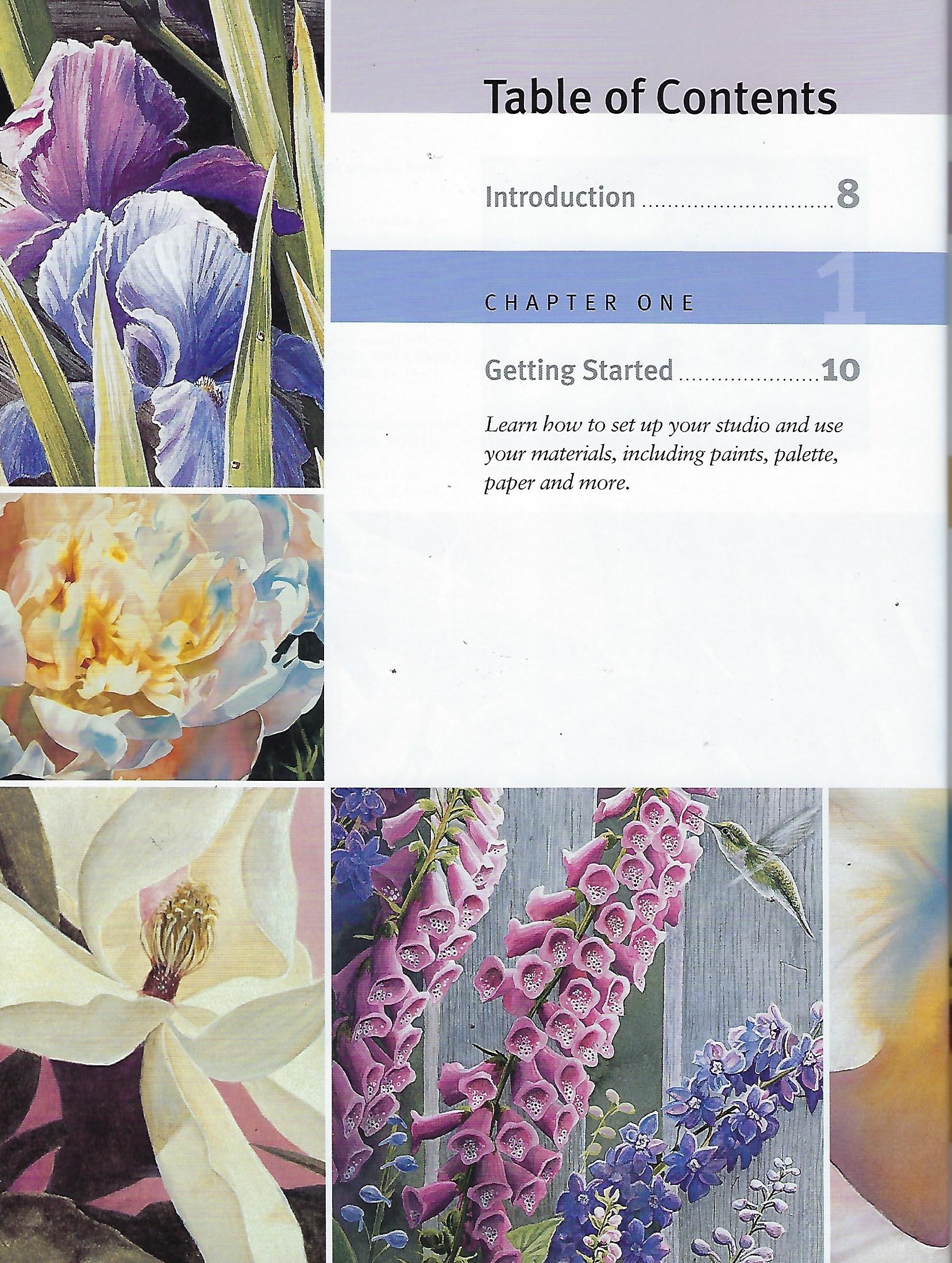 North Light's Big Book Painting Watercolor Flowers - OOP