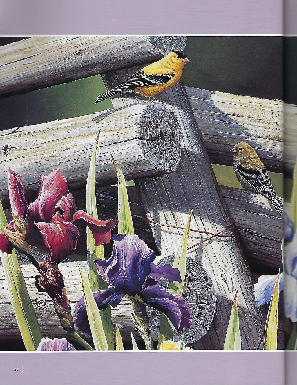North Light's Big Book Painting Watercolor Flowers - OOP
