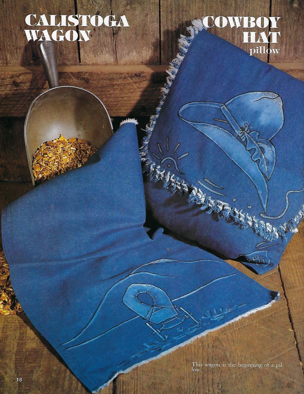 Bleached Country Denim Designs - Tracy Horn Snyder