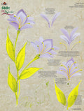 CLEARANCE:  Plaid One Stroke Worksheet 4220E Purple Florals/Bold Floral - Donna Dewberry