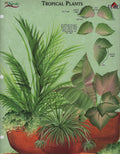 CLEARANCE:  Plaid One Stroke Worksheet Tropical Plants