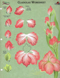 CLEARANCE:  Plaid One Stroke Worksheet Gladiolas