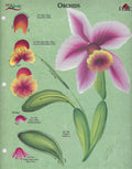 CLEARANCE:  Plaid One Stroke Worksheet Orchids