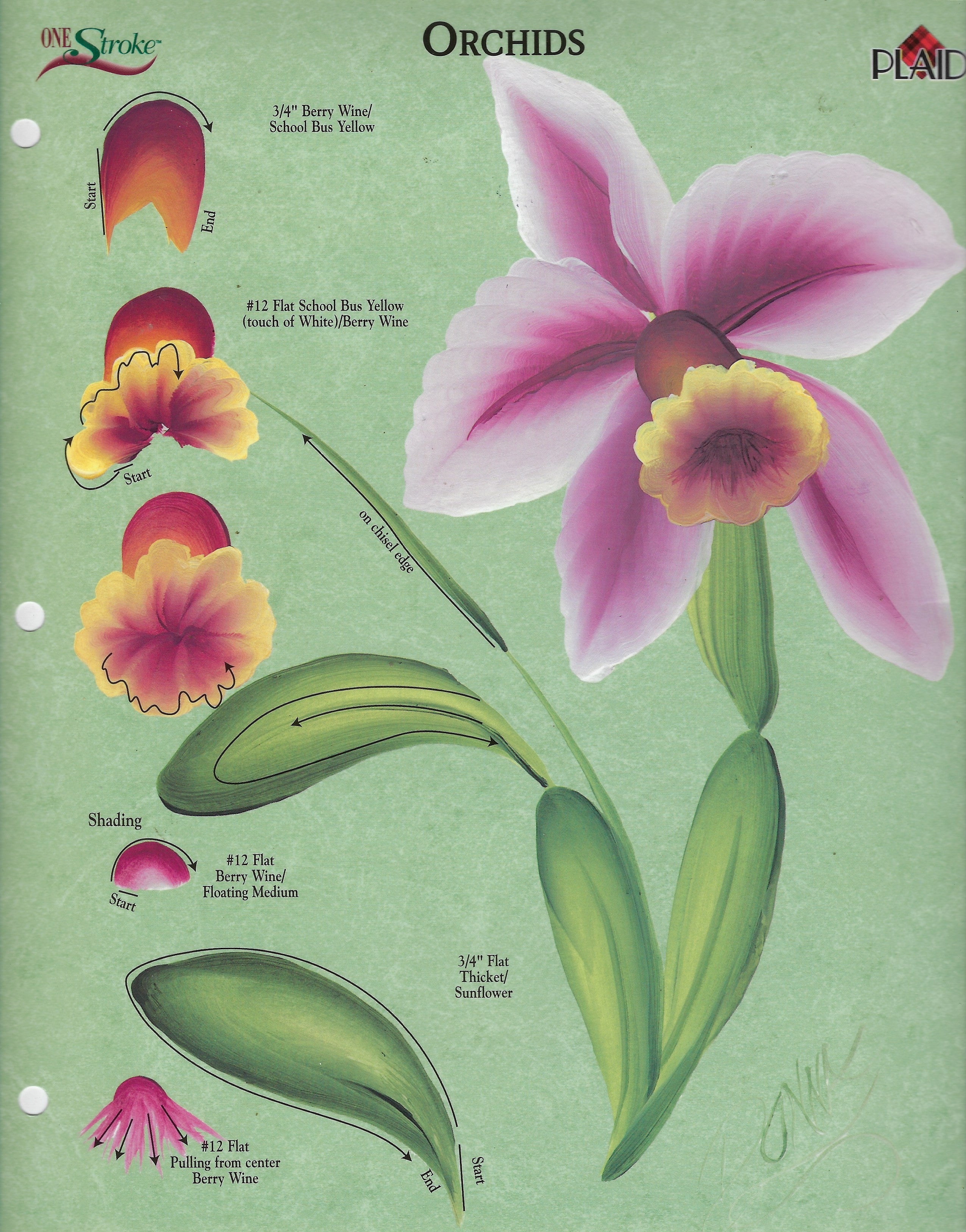 CLEARANCE:  Plaid One Stroke Worksheet Orchids