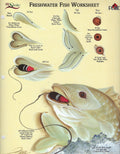 CLEARANCE: Plaid One Stroke Worksheet Fresh Water Fish