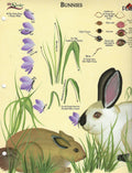 CLEARANCE: Plaid One Stroke Worksheet Bunnies