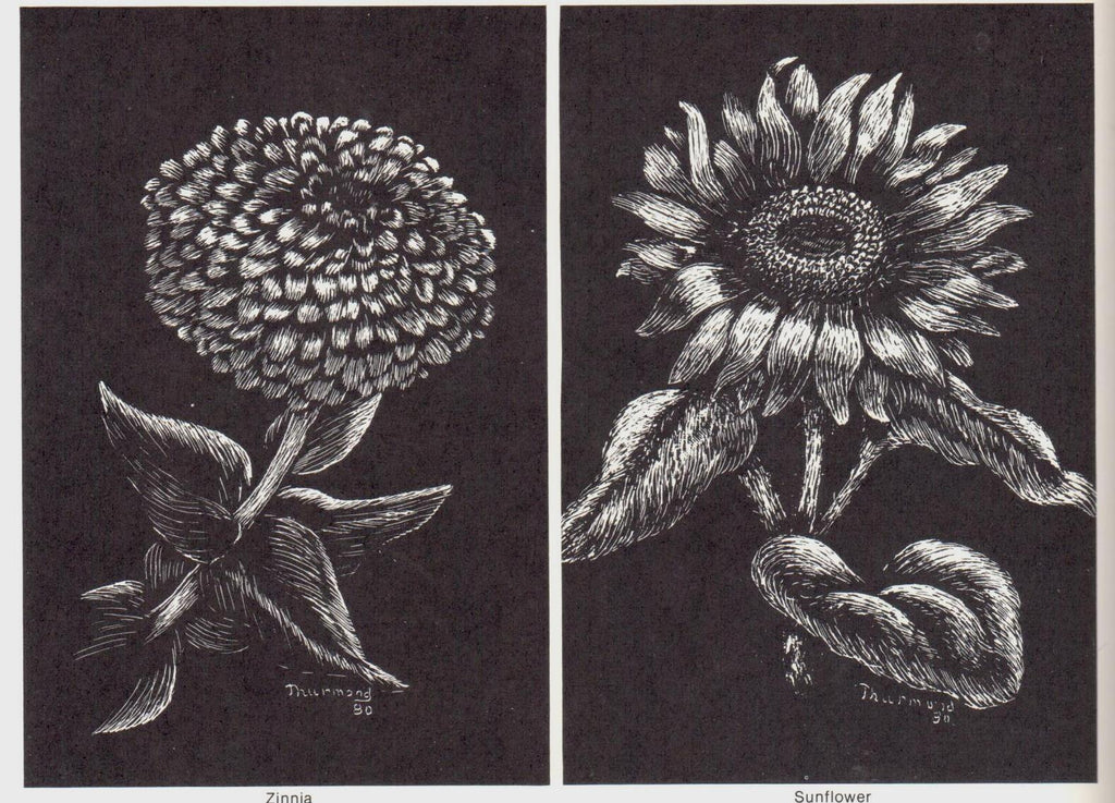 Scratchboard Pen & Ink - Vi Thurmond and Lynne McKee