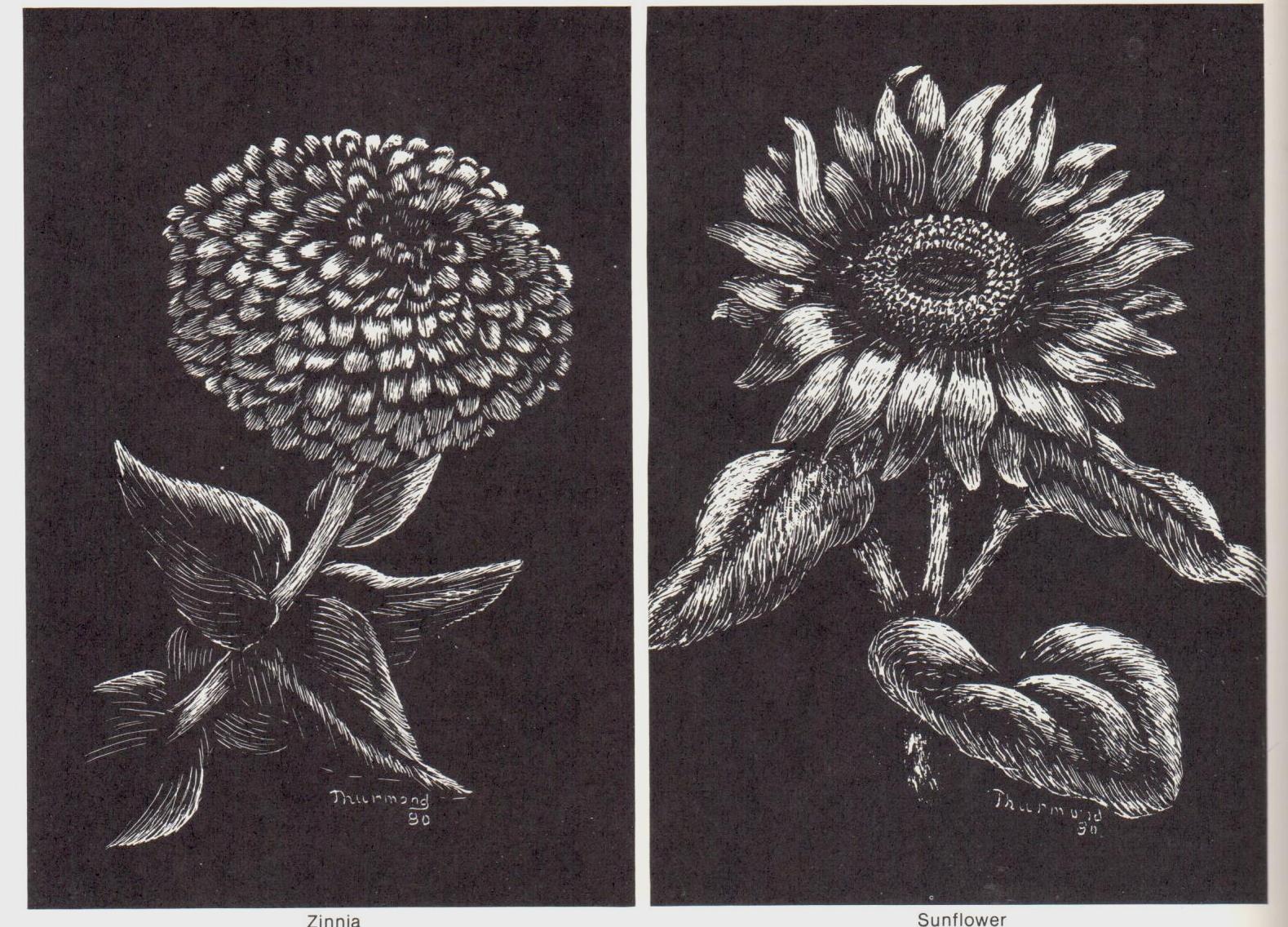 Scratchboard Pen & Ink - Vi Thurmond and Lynne McKee