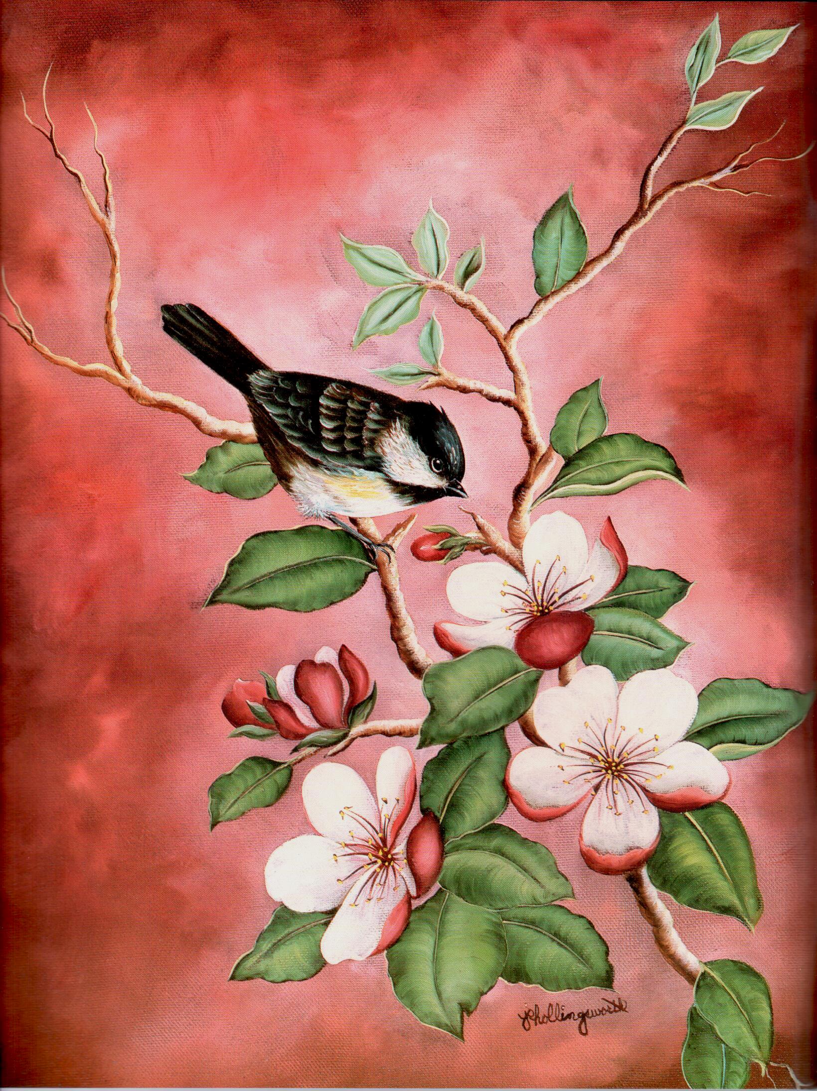 The Heart of Nature - Jo Hollingsworth - OOP