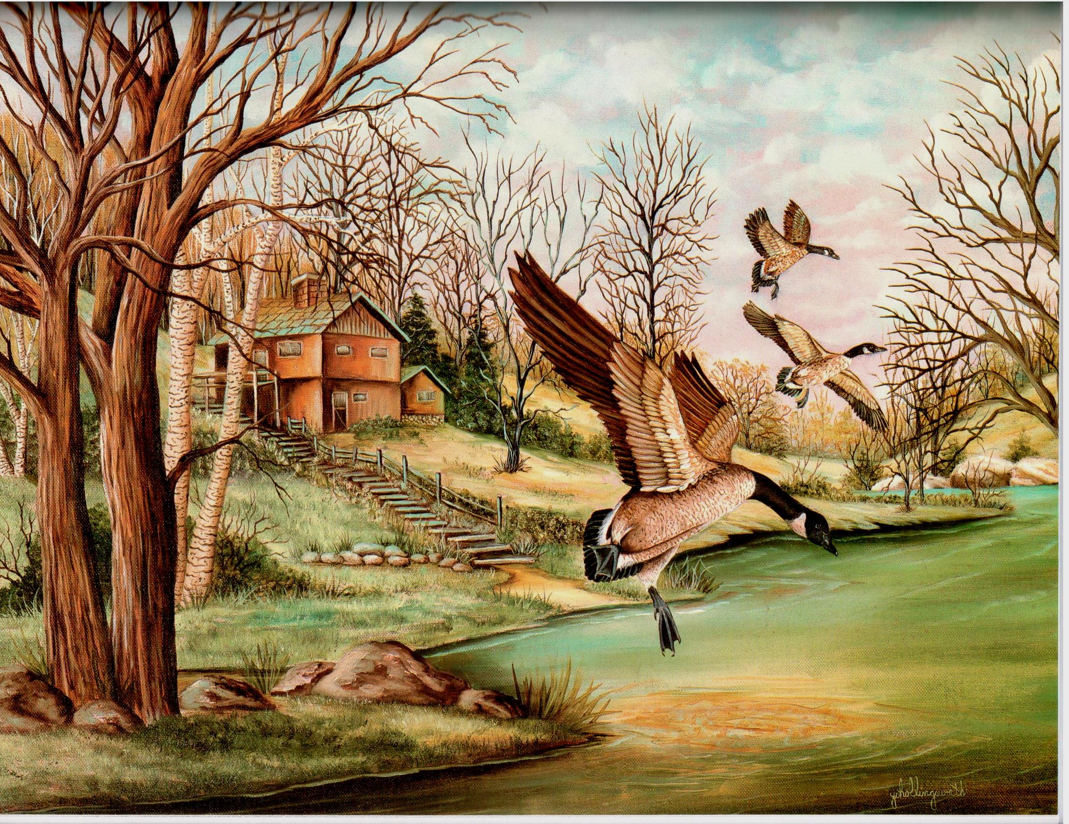 The Heart of Nature - Jo Hollingsworth - OOP