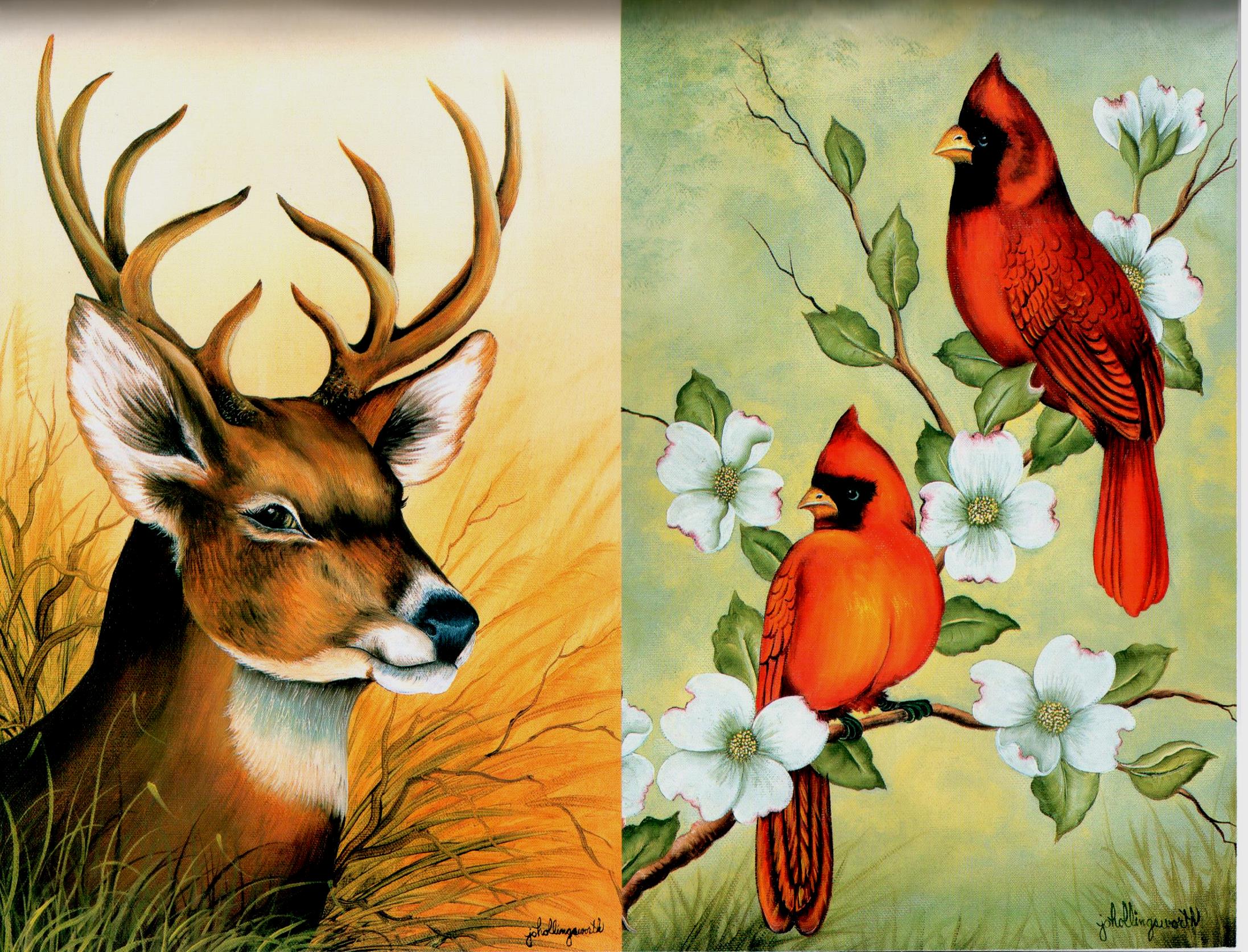 The Heart of Nature - Jo Hollingsworth - OOP