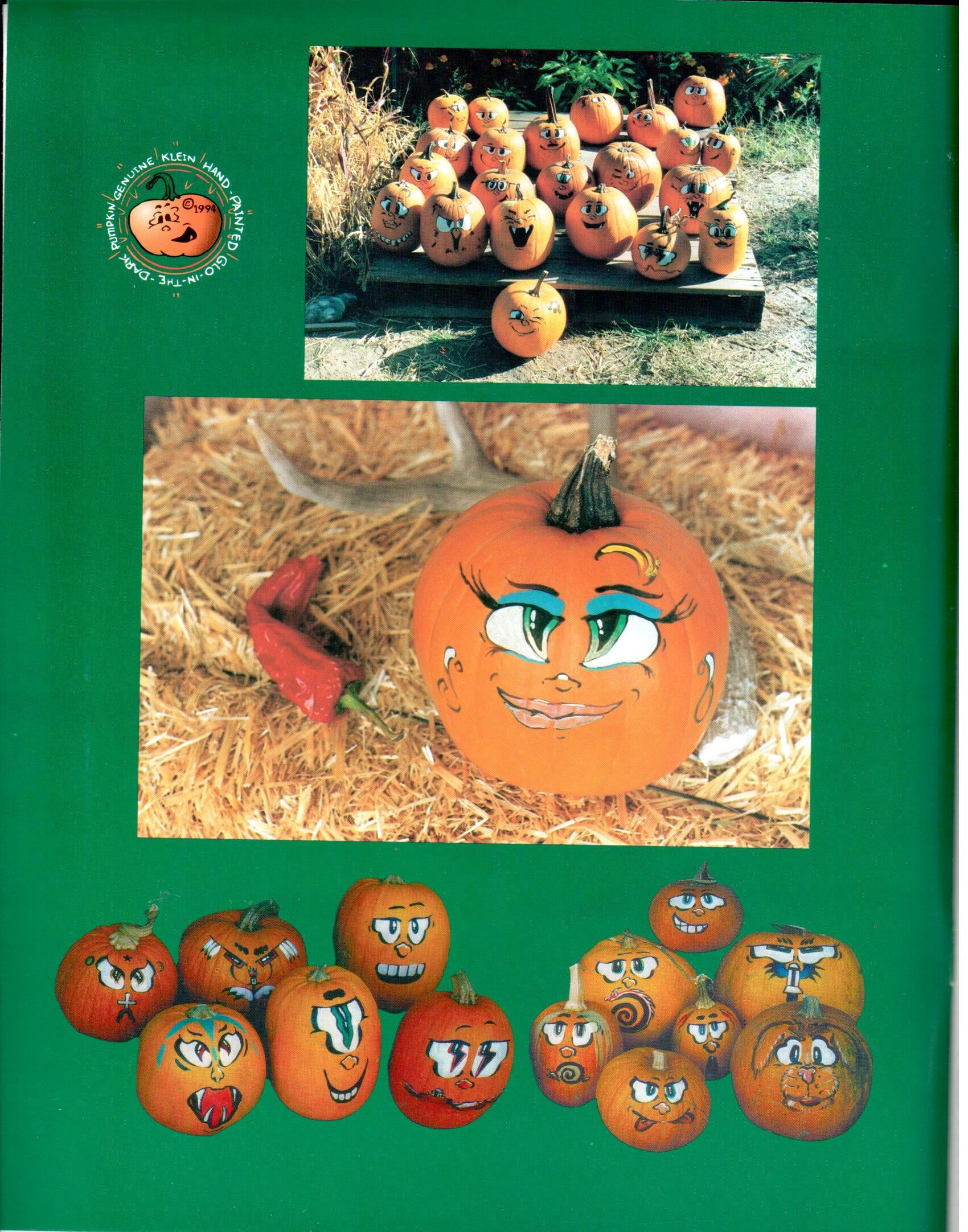 The Incredible Pumpkin Book - Scott Klein - OOP
