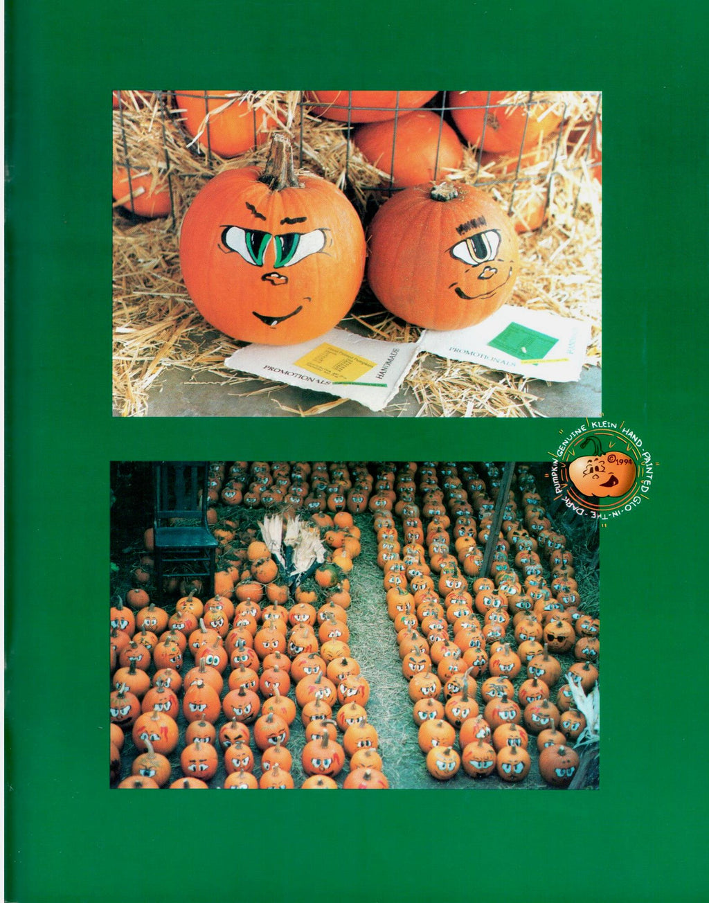 The Incredible Pumpkin Book - Scott Klein - OOP